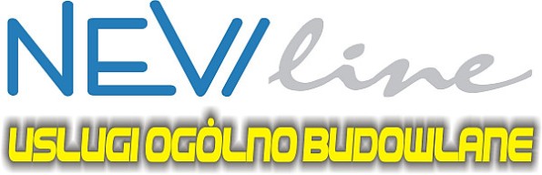 1NL logo